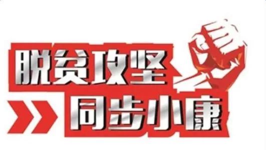 決勝脫貧攻堅鄉(xiāng)村振興戰(zhàn)略試題與答案